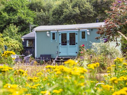 A small house with blue doors and windows surrounded by greenery and yellow flowers at The Shepherd's Hut in Aberdovey