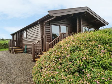 A brown wooden cabin with stairs and a large bush with pink flowers in front at Ty Pren Llanrhian near St Davids