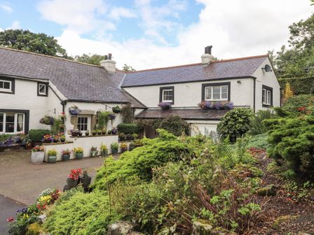 A white house with black window frames and a slate roof surrounded by plants and flowers at Fell Cottage in Sandale near Ireby