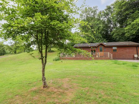 A wooden cabin with a deck in a grassy area with a small tree in front at The Beeches in Narberth