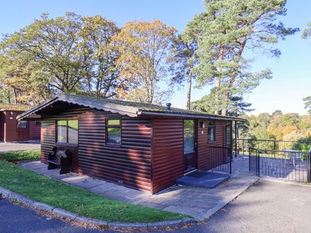A log cabin with trees and decking at Violet Lodge in Saltburn-by-the-Sea