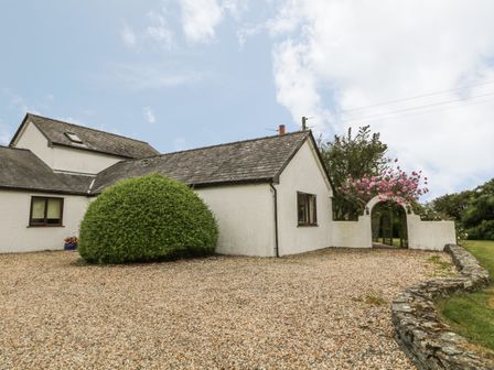 A white house with a tiled roof a gravel driveway a green bush and a garden arch with pink flowers at Little Gwaelod in Caergeiliog