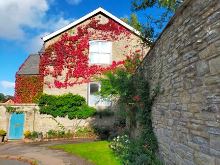 A stone house with red climbing plants and green shrubs next to a stone wall with a blue door at The School Room in Kington near Hay-on-Wye