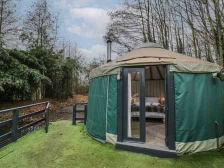 A yurt with green fabric walls and a door open to a bedroom with a bed surrounded by trees at The Lakeside Yurt in Beckford