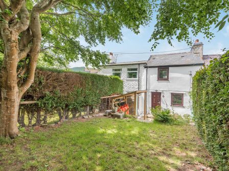A backyard with grass trees and hedges behind a white house at 3 Tyn Y Mynydd in Penmachno