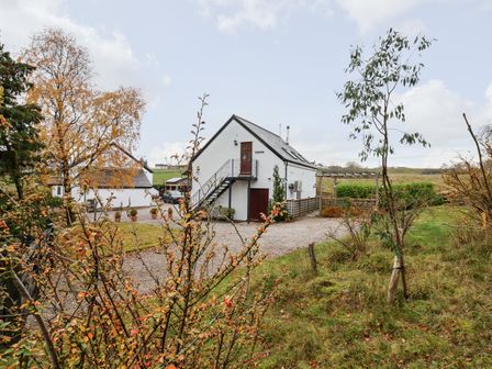 A white house with an external staircase and gravel driveway surrounded by shrubs and trees at Tyn-y-Mynydd Bach in Halkyn near Mold