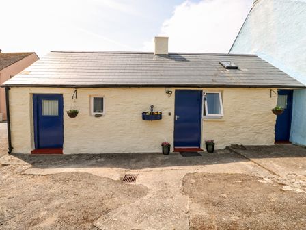 A small stone building with three blue doors and cream walls with hanging plants and flower pots at Ffynnon Tom in Trefin near St Davids