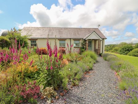 A cottage with a stone path leading to the entrance and flower beds on either side at Blaenffynnon Bach in Trelech near Crymych