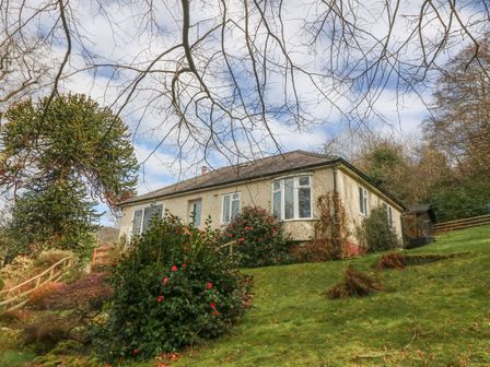A house on a grassy hill with bushes and trees at Bron Aber in Arthog near Dolgellau
