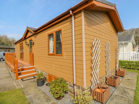 Exterior of a wooden cabin with a small porch steps and potted plants at Cladebrine Wisemans Bridge near Saundersfoot