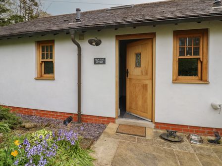 Front entrance of a cottage with a wooden door slightly open and two small windows with wooden frames at Plum Tree Cottage Castleton near Danby