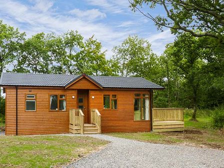 A wooden cabin with a porch and gravel driveway surrounded by trees at Chaffinch Lodge in Highampton near Sheepwash