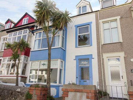 A row of attached houses with bay windows and palm trees in front at Beachgetaway in Rhosneigr