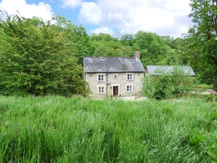 A stone house with a black roof surrounded by tall grass and trees at Ploony Cottage in Bleddfa