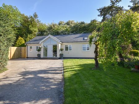 A single-story house with a driveway and lawn surrounded by trees at Lavender Cottage in Market Weighton