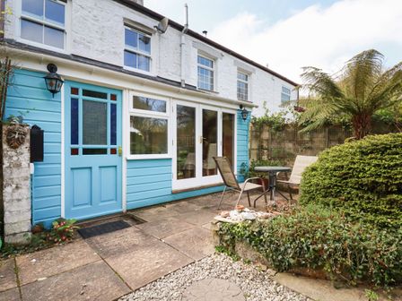 An outdoor patio area with a blue door table and two chairs surrounded by plants at The Ark Cottage in St Blazey