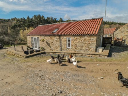 A stone house with a red tiled roof and chickens on the dirt ground at Erica's 'eaven Farndale near Kirkbymoorside
