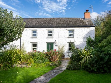 A white stone cottage with a green door and four windows surrounded by plants and a paved path at Fern Cottage in Aberporth