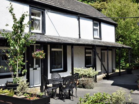 An outdoor patio area with a black table and four chairs plants and a white building with black window frames at Red Kite in Blaenwaun