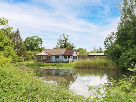 A house near a pond with trees and grass at Dragonfly Lodge Whinburgh near Dereham