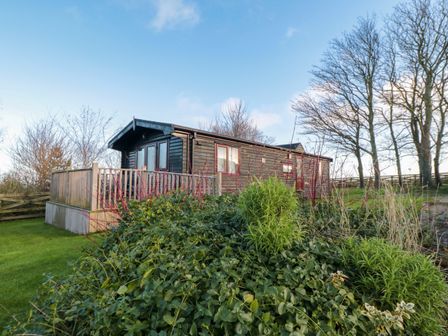 A wooden cabin with a fenced deck surrounded by shrubs and trees at Sycamore Lodge in Liverton near Danby
