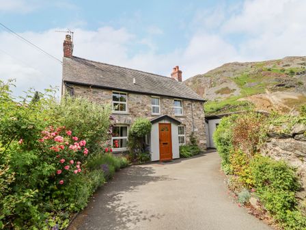 A stone cottage with a wooden door and flowering bushes on either side along a driveway at Bodywen in Llangynog