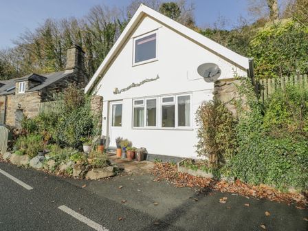 A white cottage with clay pots and plants outside by a road at Bryn Melyn Artists Cottage in Llanelltyd near Dolgellau