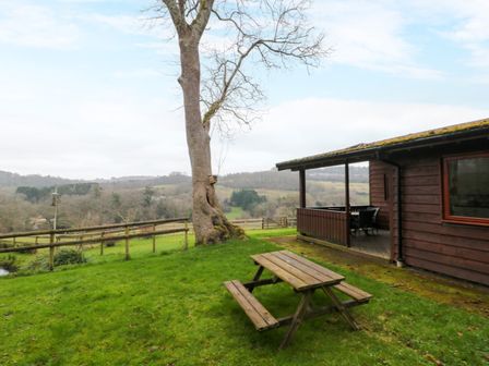 A wooden cabin with a covered porch and outdoor table and benches on a grassy area near a tree and fenced countryside at The Ash Lodge near Lyme Regis