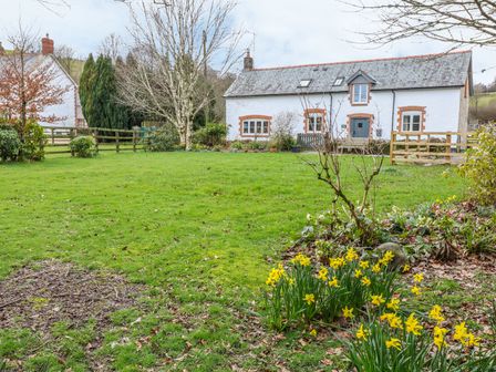 A garden with yellow flowers and green grass in front of a white house with a slate roof and wooden fence at The Old Stables in Exford