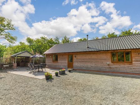 An outdoor area with a wooden building a patio table with chairs an umbrella planters and trees at Ploony Hill Lodge in Bleddfa