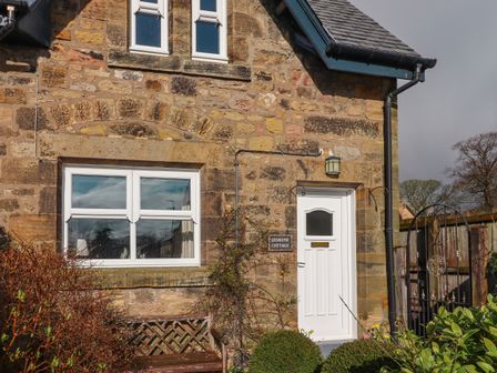 Stone exterior of a cottage with white windows and door a garden bench and plants at Jasmine Cottage Lesbury near Alnmouth