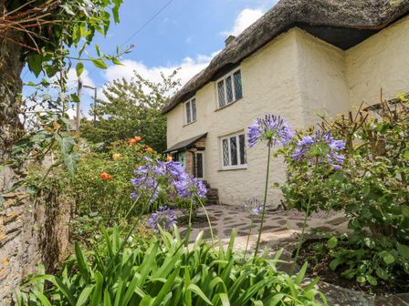 A cottage with a thatched roof surrounded by a garden with purple and orange flowers at Hearthstone East Cottage in Brixham