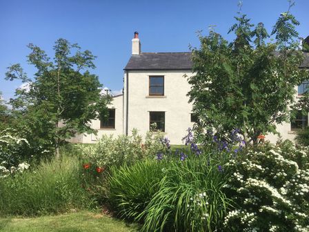 A garden with trees flowers and shrubs in front of a white house at 1 Leesrigg Cottages Mealsgate near Aspatria