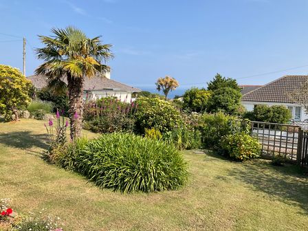 A garden with palm trees shrubs and flowers with houses and the sea in the background at Wide Horizons in Coverack