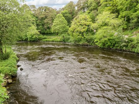 A river surrounded by dense green trees and vegetation at 2 Castle Cove in Dromahair County Leitrim