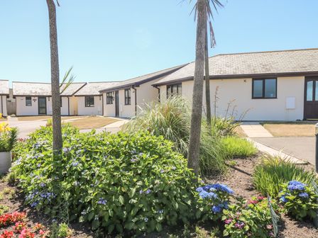 Flower beds with green shrubs and blue and red flowers in front of white single-story houses with black-framed windows at Seashells in Marazion