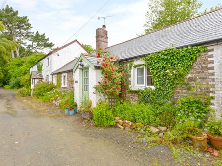 An exterior view of a cottage with a green door and plants along the stone and white walls at Goslings Bradford Holsworthy