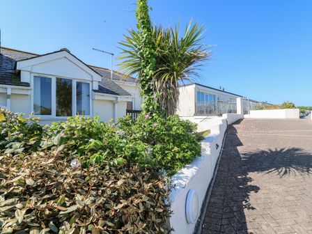 A white building with windows and a driveway surrounded by green plants and a palm tree at Atlantic Edge in Newquay