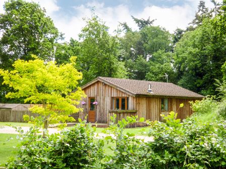 Dog Friendly Log Cabins Pet Friendly Hot Tub Lodge Holidays