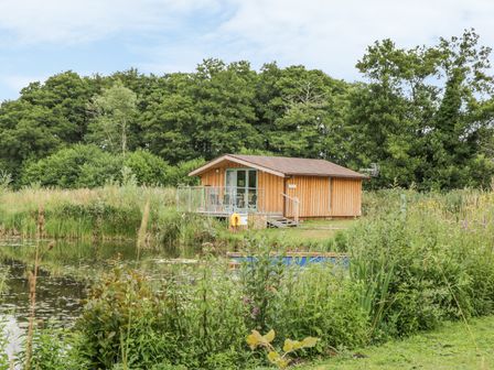 A wooden cabin by a pond with surrounding greenery and trees at Lakeside Lodge in East Harling near Thetford