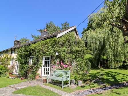 A cottage covered in greenery with a bench in the garden and a stone pathway at Lower Dolgenau- The Cottage in Llawryglyn near Llanidloes