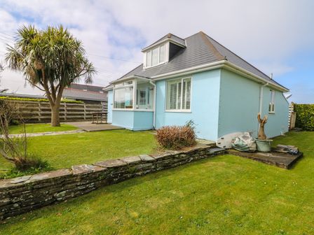 A blue house with a gray roof a small lawn with a palm tree and stone wall at Bolenowe Trebetherick near Polzeath