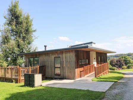 A modern wooden house with a ramp and railing surrounded by grass and trees at Ash in Truro