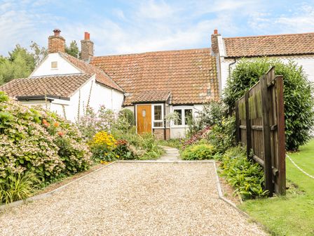A cottage with a tiled roof surrounded by flowers and plants with a gravel path and a wooden fence at Mrs Dales Cottage in Clenchwarton near Kings Lynn