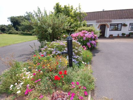 A garden with colorful flowers and a black water pump outside a house at Little Waycroft in Dawlish