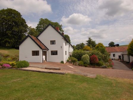 A white farmhouse with a tiled roof surrounded by greenery and a garden at Surridge Farmhouse in Waterrow
