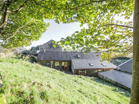A house with a slate roof viewed through trees on a grassy slope at Yr Hen Dy in Llan Ffestiniog