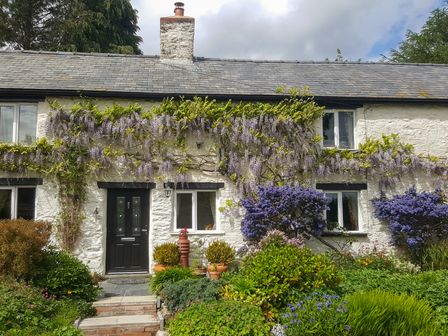 Exterior of a stone cottage with climbing plants and flowers around the door and windows at Rhydygaled in Llanrhaeadr-Ym-Mochnant