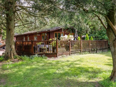A wooden cabin with a fenced deck surrounded by trees and grass at Footprints Lodge in Windermere
