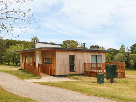 A single story wooden house with a small deck and a pathway surrounded by grass and trees at Oak in Truro